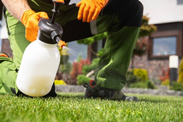 Best Pest Control Near Me  in Hydesville, CA