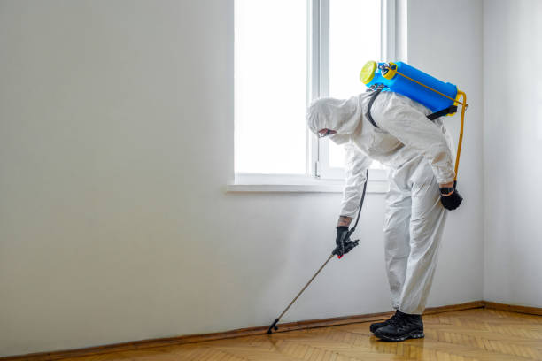 Best Commercial Pest Control Services  in Hydesville, CA