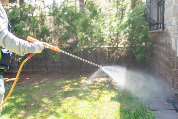 Best Spider Control Near Me  in Hydesville, CA