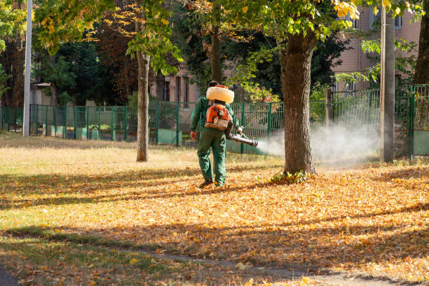 Best Local Pest Control Services  in Hydesville, CA