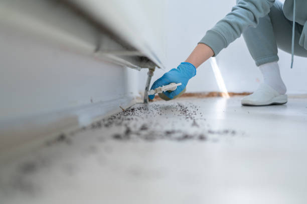 Best Pest Prevention Services  in Hydesville, CA